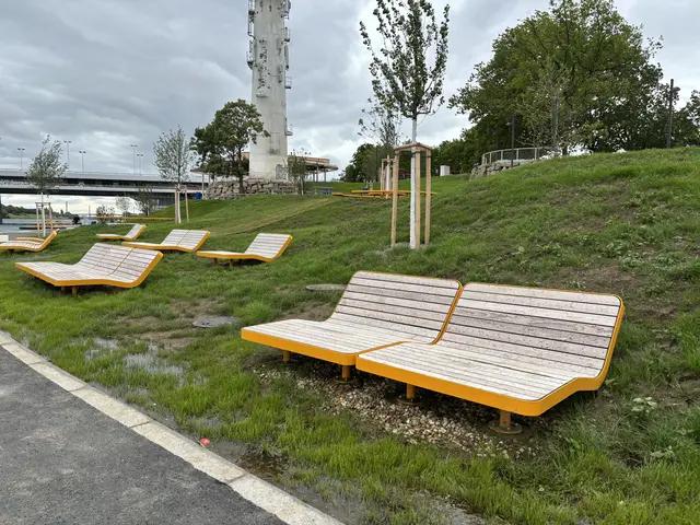 Am neu gestalteten Pier 22 gibt es Liegen aus Holz, die sich perfekt zum Entspannen auf der Insel eignen. Ist es mal zu heiß, kann man in nur wenigen Schritten in die Donau springen. | Foto: Luise Schmid/MeinBezirk