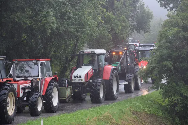 Foto: Fotos:  Hannes Reichenpfader und Emma Jelenz