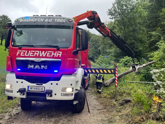 Einsätze für die FF Waidhofen/Ybbs-Stadt | Foto: BFKDO/FF Waidhofen/Ybbs-Stadt