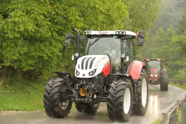 Foto: Fotos:  Hannes Reichenpfader und Emma Jelenz