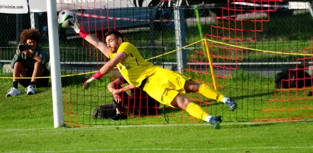 Nicht nur wegen ihrer Glanzparade stehen die Torhüter im Fokus. | Foto: Hassl