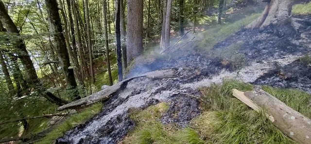 In diesem Bereich schlug ein Blitz ein. | Foto: FF Grafenstein