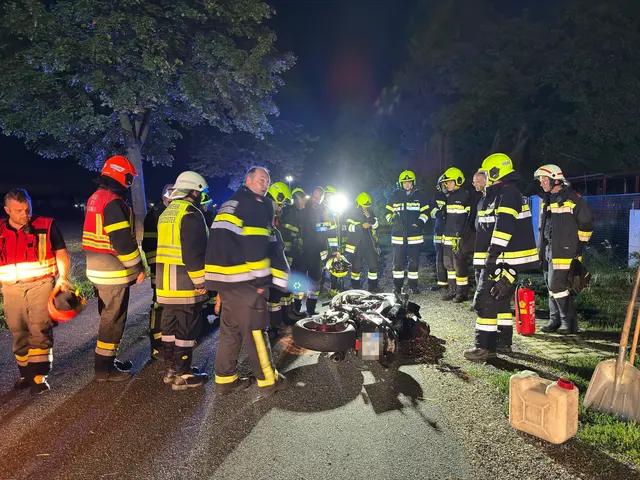 Mehrere Feuerwehren aus der Region waren am Abend des 27. Juli bei Unterparschenbrunn im Einsatz. | Foto: Doku NÖ