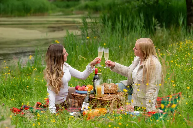 In der warmen Jahreszeit ist ein Picknick im Grünen perfekt zum Entspannen mit Freunden und Familie. (Symbolfoto) | Foto: Zachtleven/pixabay