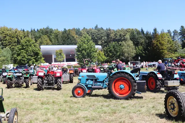 Sich am Anblick von Oldtimern erfreuen, Gleichgesinnte treffen und einen Frühschoppen genießen - das ist am 10. August in Haselsdorf-Tobelbbad möglich. | Foto: Edith Ertl