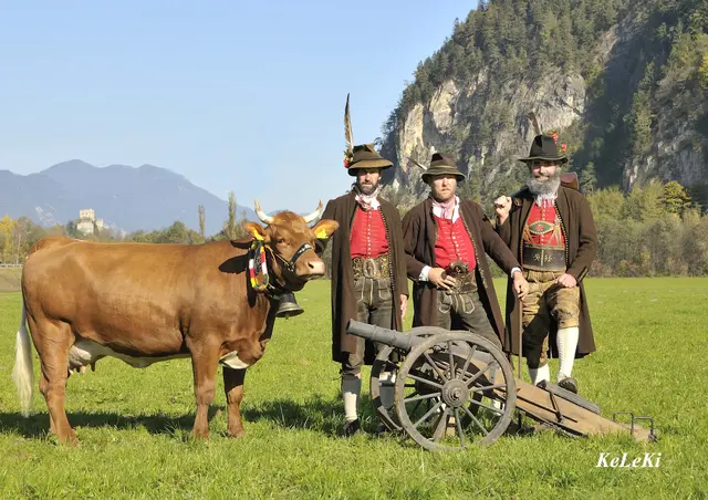 Die Tux-Zillertal-Rinder sollen zum UNESCO-Welkulturerbe werden. | Foto: KeLeKi