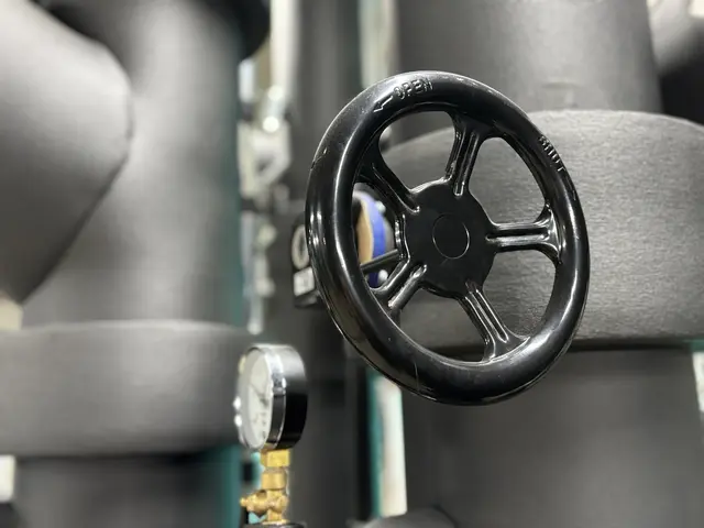 Foto: Andreas Pölzl/MeinBezirk