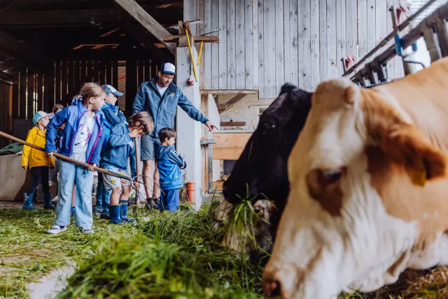 Der Stall mit den Kühen war ein Highlight. | Foto: Fabian Franz Ferdinant