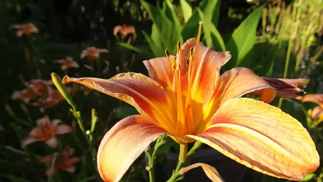 Foto: © Silvia Plischek