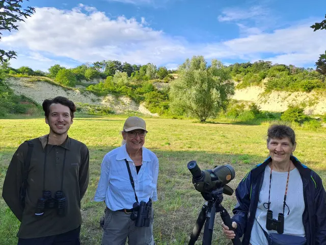 Erst im Herbst 2024 wurden die Bienenfresserwände in Rohrbach renaturiert. | Foto: Naturpark Rosalia-Kogelberg