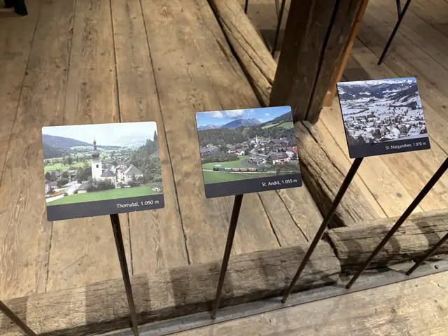 Foto: Emanuel Hasenauer