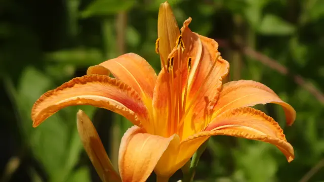 Foto: © Silvia Plischek