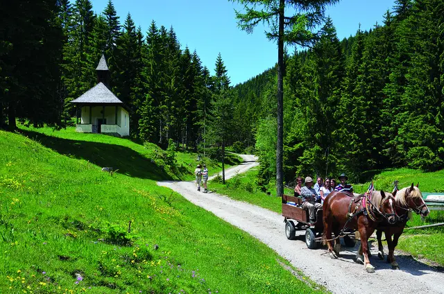 Eine romantische Kutschenfahrt genießen. | Foto: Naturpark Weißensee