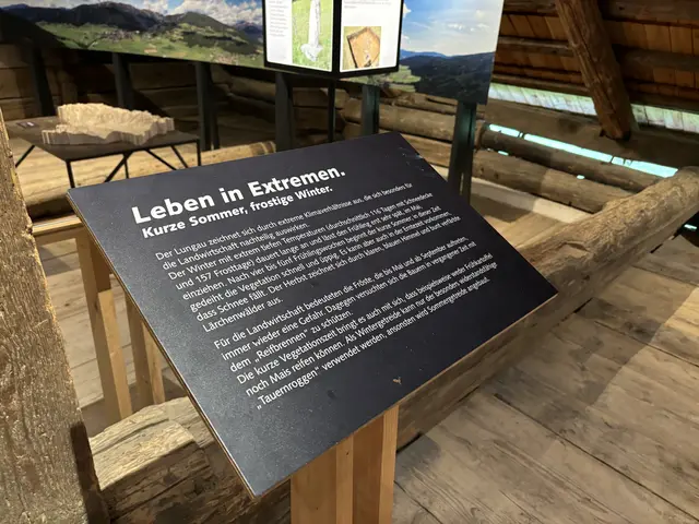 Foto: Emanuel Hasenauer