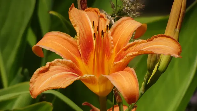 Foto: © Silvia Plischek