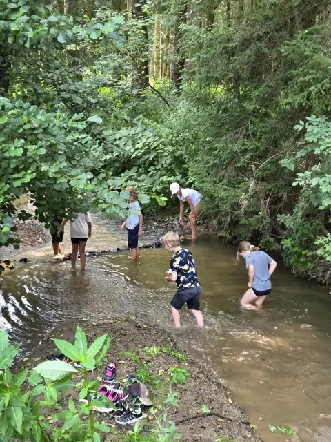 Spaß am Bach | Foto: privat