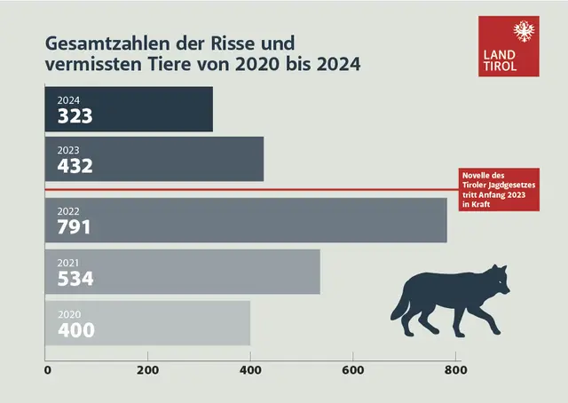 Übersicht der Risse | Foto: Land Tirol/Dominik