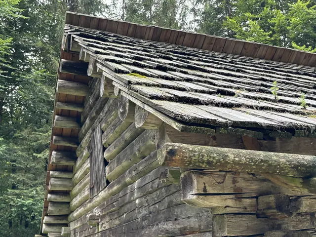 Foto: Emanuel Hasenauer