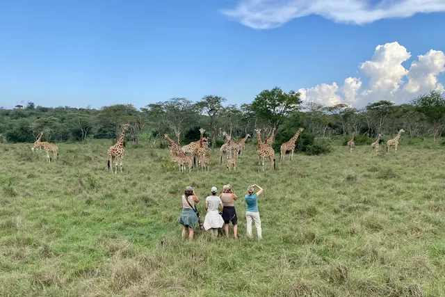 Auf einer Fotoreise kann es auch zu Zusammentreffen mit Giraffen und anderen Wildtieren kommen. | Foto:  Maria-Lisa Stelzel | imprintmytravel.com