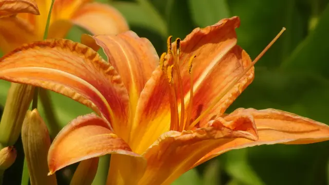 Foto: © Silvia Plischek