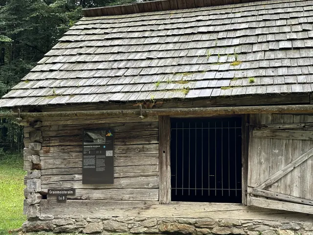 Foto: Emanuel Hasenauer