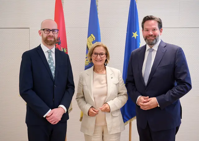 Landeshauptfrau Johanna Mikl-Leitner mit den Europaabgeordneten Ondřej Kolář (links) und Lukas Mandl. | Foto: NLK Pfeiffer