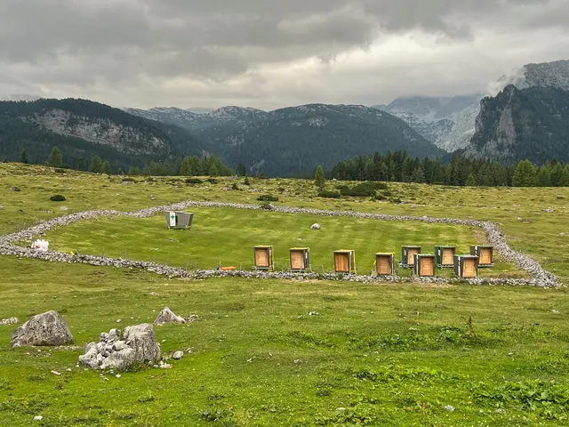 Diese Biwakschachteln sind für jeweils vier Fernleitungsmonteure. Sie werden mit den Arbeiten immer mitversetzt. Links oben im Bild ist der Medizin Container, eine gut ausgestattete Erst-Hilfe-Station | Foto: Lepka/Riedler, Bergrettung Bischofshofen