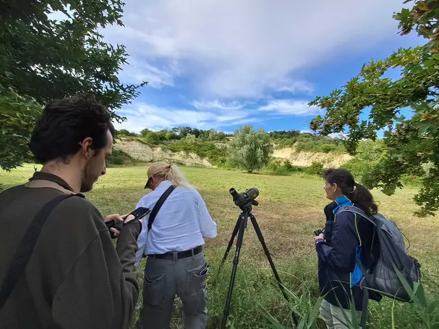 Beim Workshop wurden die Zugvögel beobachtet und die Teilnehmenden erfuhren spannende Fakten. | Foto: Naturpark Rosalia-Kogelberg