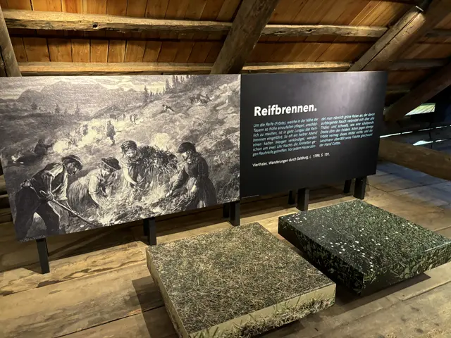 Foto: Emanuel Hasenauer