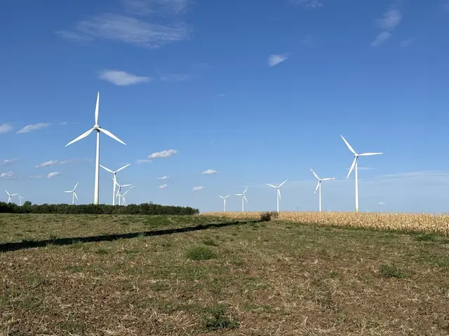 Der Windpark Neusiedl/Weiden wird zum größten Windpark Österreichs. | Foto: Burgenland Energie AG