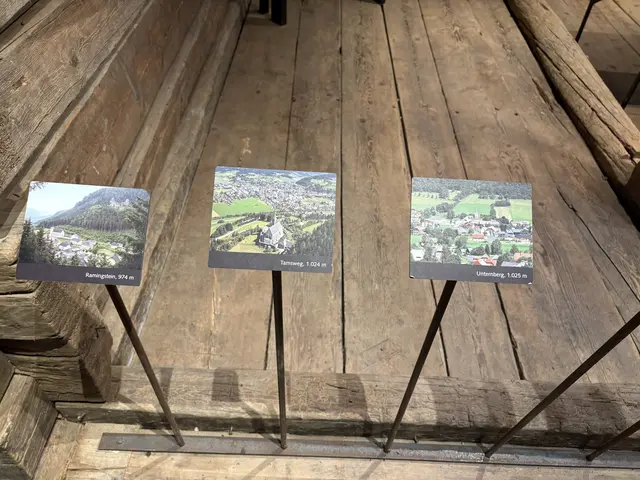 Die Ausstellung über den Lungau. | Foto: Emanuel Hasenauer