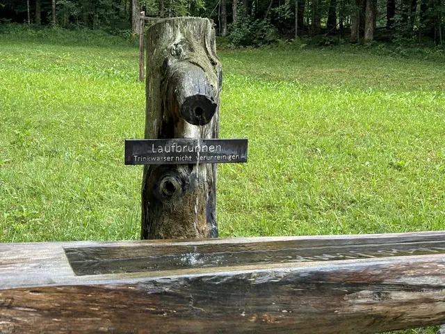 Foto: Emanuel Hasenauer