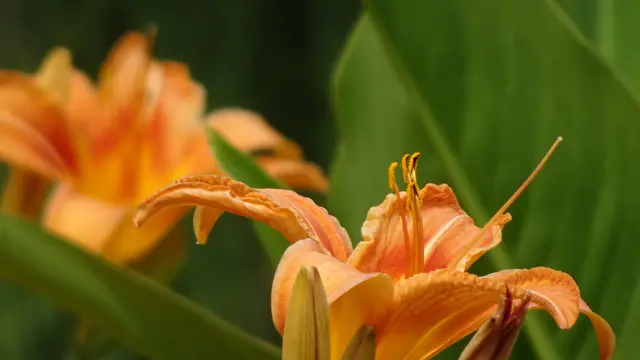 Foto: © Silvia Plischek