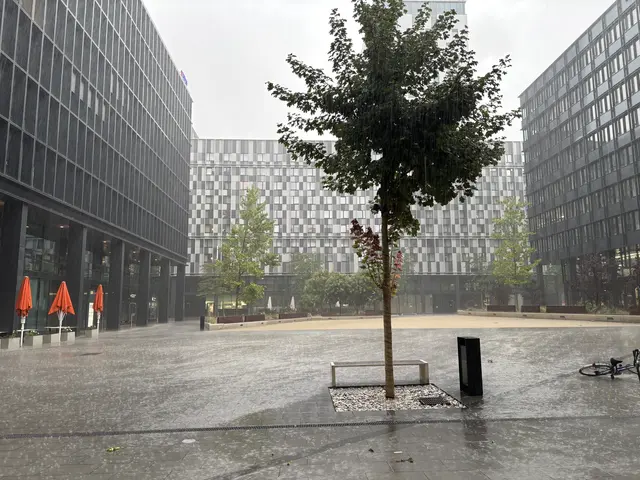 Foto: Antonio Šećerović/MeinBezirk