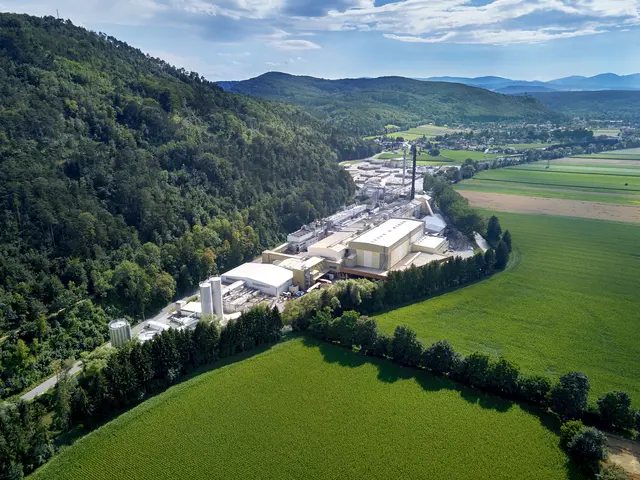 Im Stammwerk in Pitten werden 52 Mitarbeiter gekündigt. | Foto: W. Hamburger