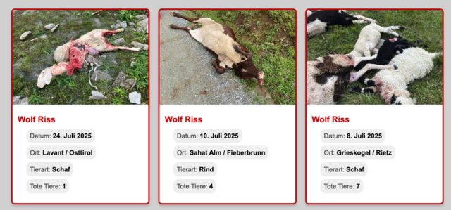 Der Rissradar der Weidezone zeigt eine schockierende Dokumentation. | Foto: Weidezone Tirol