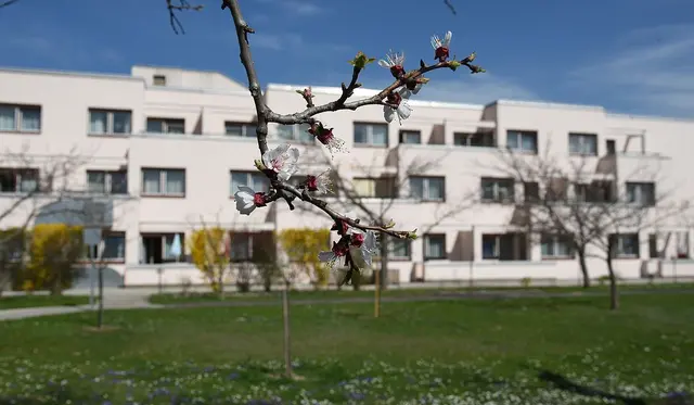 Das Pflege- und Betreuungszentrum in Mautern | Foto: PBZ Mautern