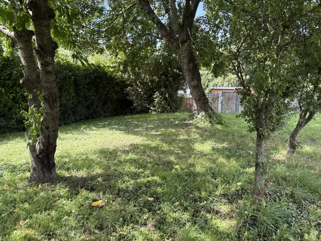 Foto: Victoria Edlinger