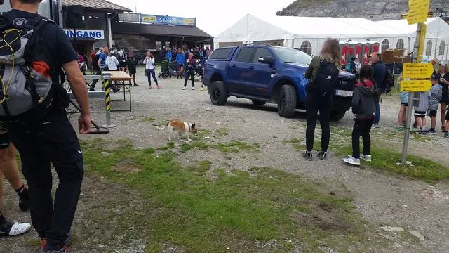 ... auch hier gilt die Leinenpflicht! | Foto: Tiroler Bergwacht - Einsatzstelle Stubai