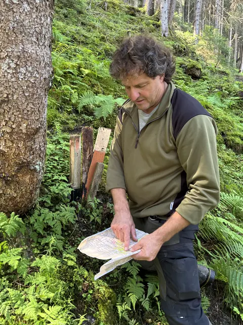 Waldaufseher Klaus Bradlwarter managt die Abholzung.