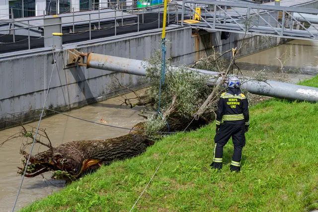Foto: Team Fotokerschi/Werner Kerschbaummayr