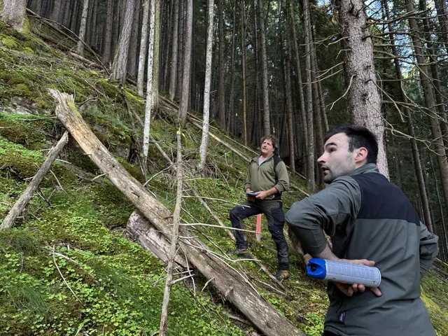 Zusammen und in Einklang mit dem zuständigen Bezirksförster von der BH Imst werden die zu schlägernden Bäume gekennzeichnet.