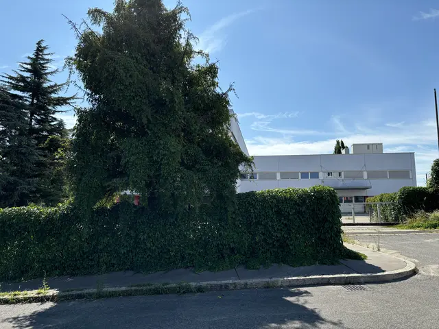 Foto: Luca Arztmann/MeinBezirk