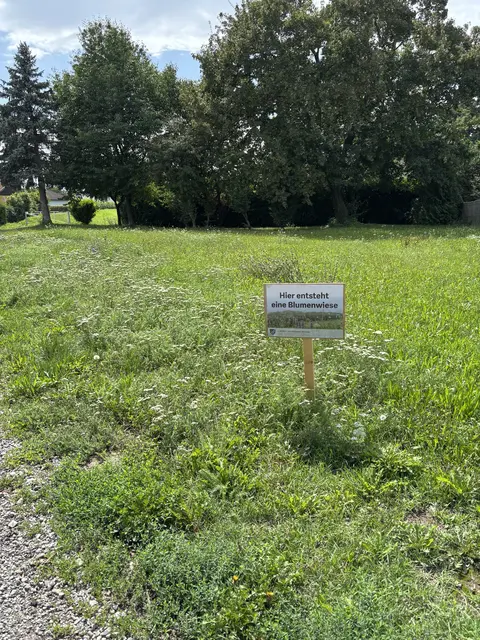 Foto: Victoria Edlinger