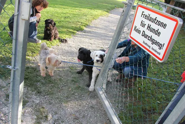 Sieben Hundewiesen stehen den über 4.000 Hunden in Innsbruck aktuell zur Verfügung. | Foto: BezirksBlätter