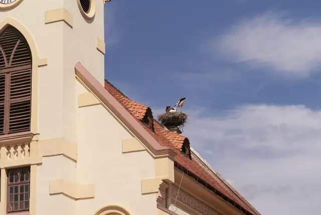 Foto: Santrucek
