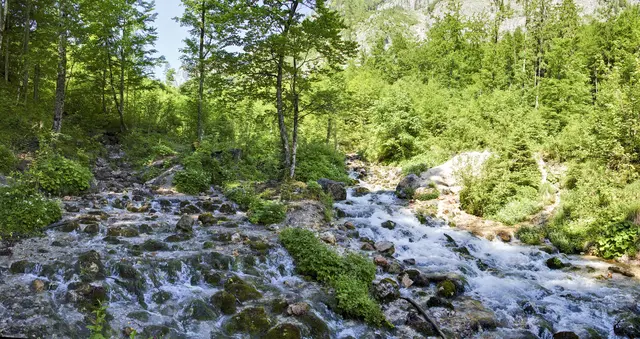 Die Steyr entspringt im Talschluss in Hinterstoder. | Foto: Pyhrn-Priel Tourismus GmbH/Bruno Sulzbacher