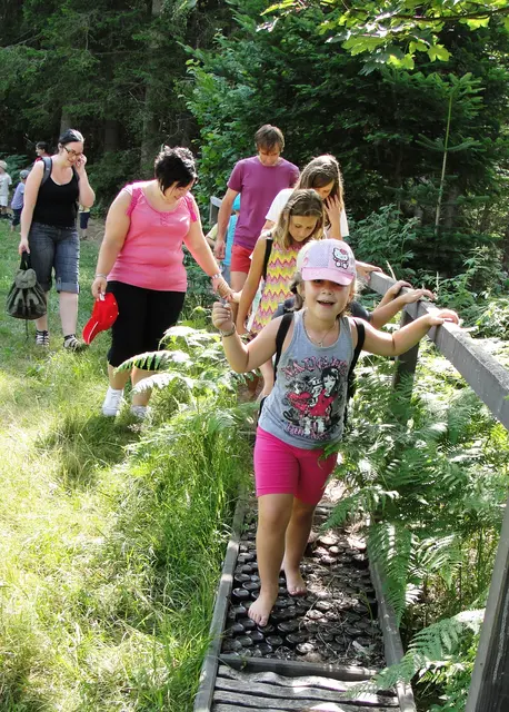 Der „Weg der Wandlungen“ – eines von 13 erfolgreichen Projekten, verwirklicht mit Herz, Holz und Handarbeit in Soboth. | Foto: Koller