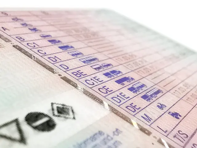 Der Führerschein war zum Zeitpunkt der zweiten Anhaltung bereits entzogen. (Symbolfoto) | Foto: stock.adobe.com/at/studio v-zwoelf