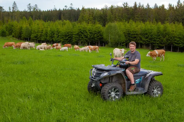 Biologische Landwirtschaft: Lukas Hochwallner aus Pfaffings bei Bad Traunstein auf der Wiese mit seinen Rindern. | Foto: privat